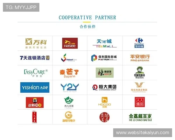 开云电子娱乐官方：平台合作伙伴与品牌背后强大支持力量